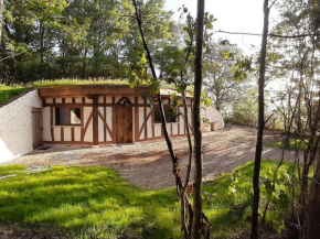 Location Insolite : Maison Hobbit avec Arbre Intégré, à Proximité de Chambord - FR-1-491-375